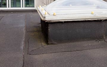 disadvantages of Nevilles Cross flat roofs